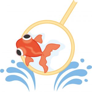 poi