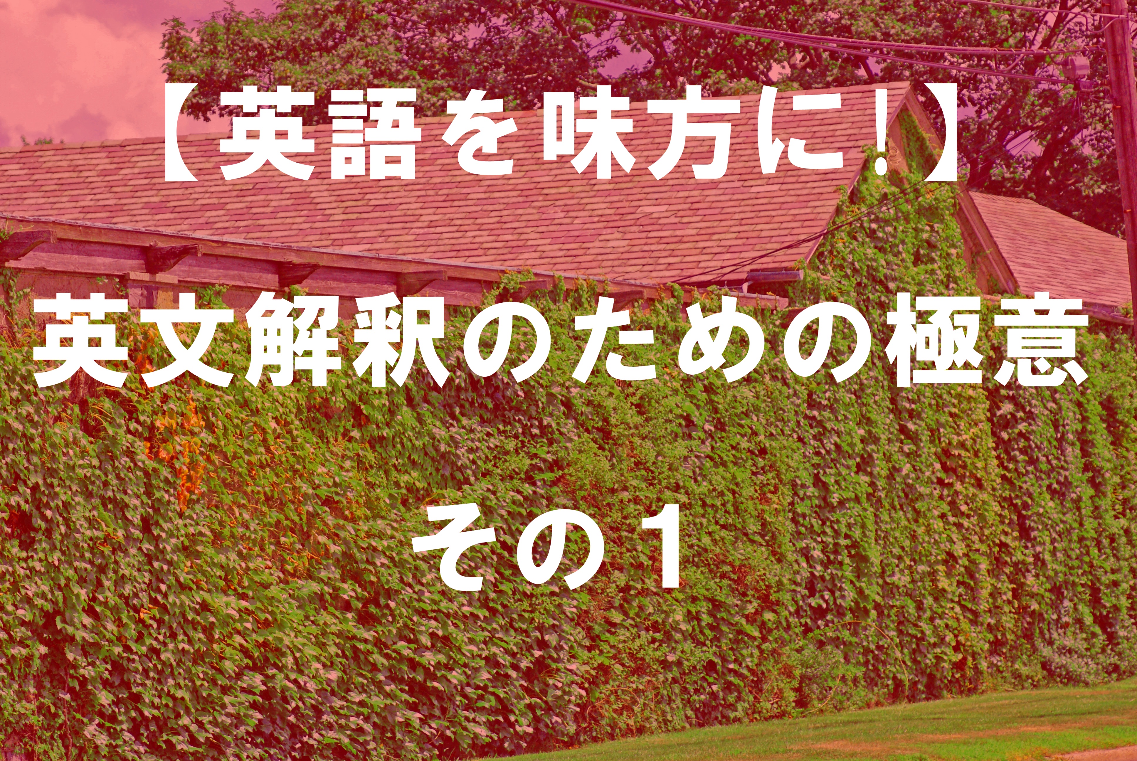 【英語を味方に!】英文解釈のための極意　その１