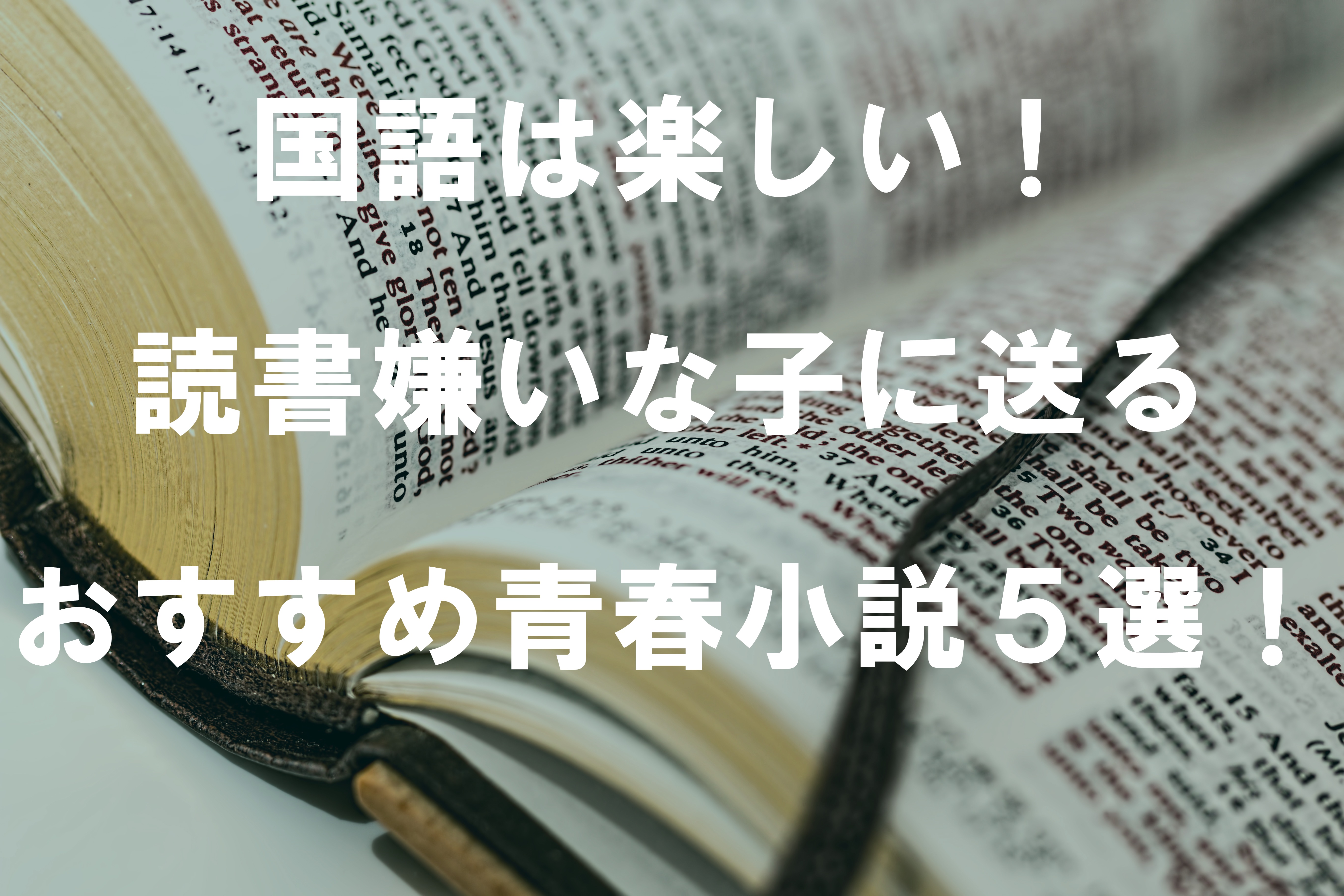 国語は楽しい！読書嫌いな子に送るおすすめ青春小説５選！